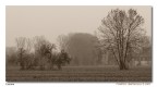 Cascine Cascine