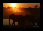 Namibia - Okaukuejo I Namibia - Okaukuejo I