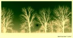 Oscure Presenze Oscure Presenze
