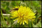 Quasi una macro... Quasi una macro...