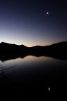 alba alba