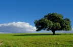 paesaggio...semplice...semplice... paesaggio...semplice...semplice...