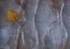 Autunno di Ghiaccio Autunno di Ghiaccio