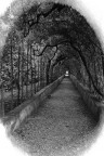 Tunnel Tunnel