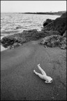 La spiaggia La spiaggia