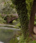 ALBERI ALBERI