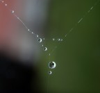 1/60
f 5.6
come dice luciano raschiando in fondo al cassetto