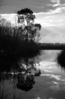 Riflesso Riflesso