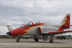 aquila