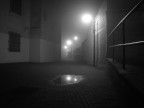 nella nebbia.. nella nebbia..
