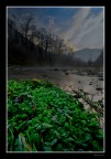 River Salad River Salad