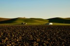 contrasti di campagna contrasti di campagna