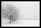 cascina monluè 02 cascina monluè 02