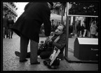 Il Cuore Il Cuore