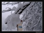 Cristallo Cristallo