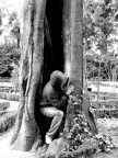 esco dall'albero esco dall'albero