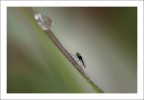 Silouette Silouette
