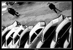 ::Curiosità:: ::Curiosità::