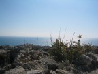 sardegna sardegna