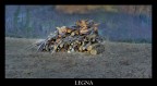 La Legna La Legna