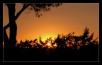 Tramonto Tramonto