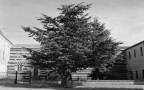 chiostro chiostro