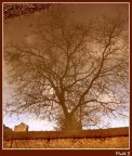 Stagno Stagno