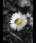Preludio di Primavera... Preludio di Primavera...
