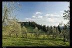 Colli fiorentini Colli fiorentini