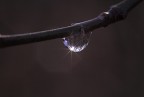 nel buio c'è sempre una speranza nel buio c'è sempre una speranza