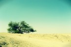 Desert 3 Desert 3