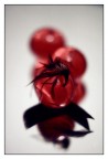 Red Spheres Red Spheres
