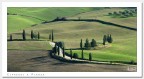 Cipressi a Pienza Cipressi a Pienza