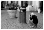 Pianta, secchio, donna... Pianta, secchio, donna...
