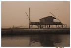 Pesca Pesca