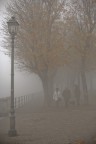 tra la nebbia tra la nebbia