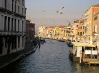 venezia venezia