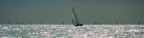 Sailing Sailing