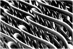 texture ...what is this? texture ...what is this?