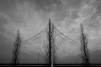 Ponte di Calatrava - Vela di Nord - Reggio Emilia