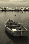 Boat Boat