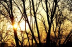 Tramonto a Milano Tramonto a Milano