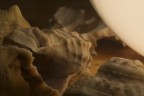 Macro 3 Macro 3