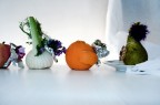 La mia scelta " vegetariana " La mia scelta " vegetariana "