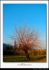 solitario solitario