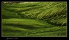 green 9895 green 9895