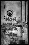 Scelte di vita... Scelte di vita...