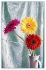FIORIN FIORELLI
