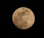 Luna Luna