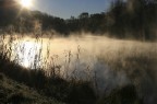 nebbia sull'Adda nebbia sull'Adda